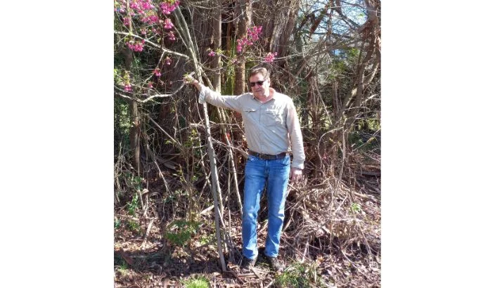 Tackling Taiwan cherry in Tasman