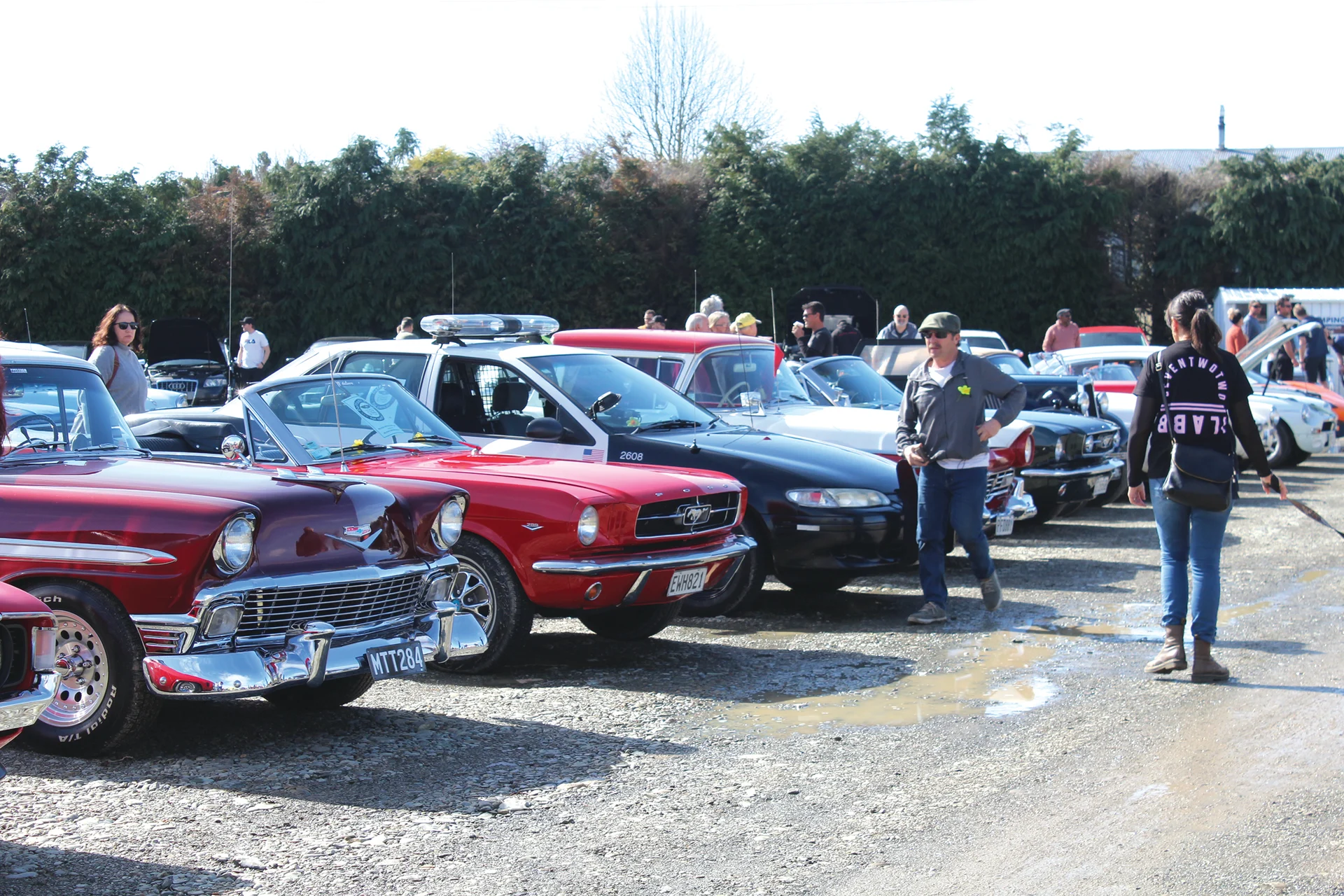Sponsored: Daffodil Day Show 'n' Shine fundraiser