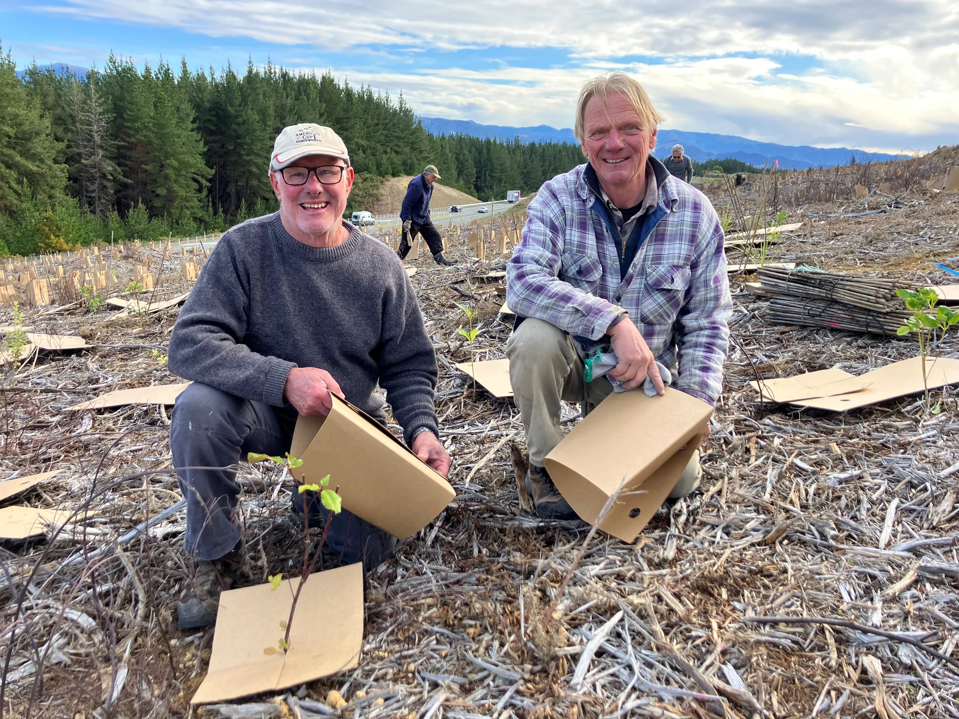 10,000 trees planted in July