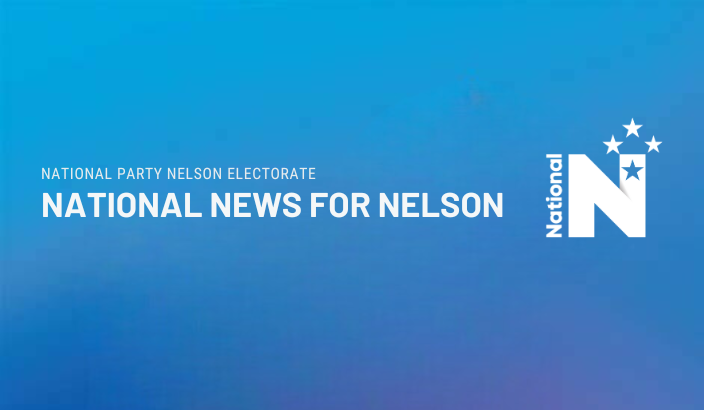 SPONSORED: NATIONAL NEWS FOR NELSON