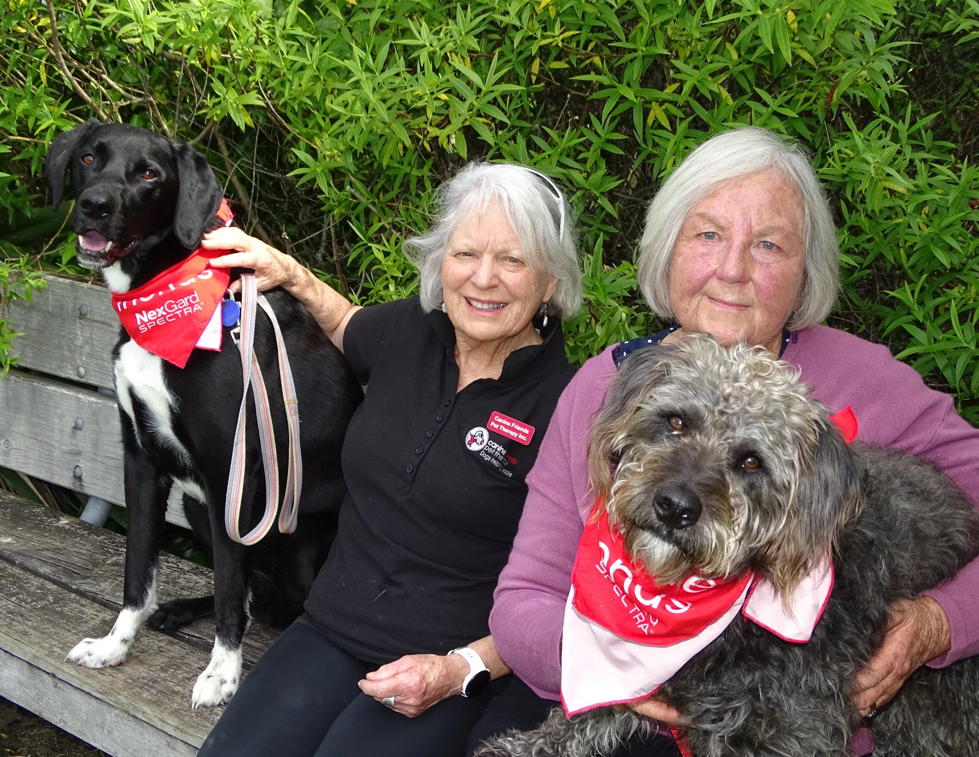 Dedicated tail waggers bring a smile
