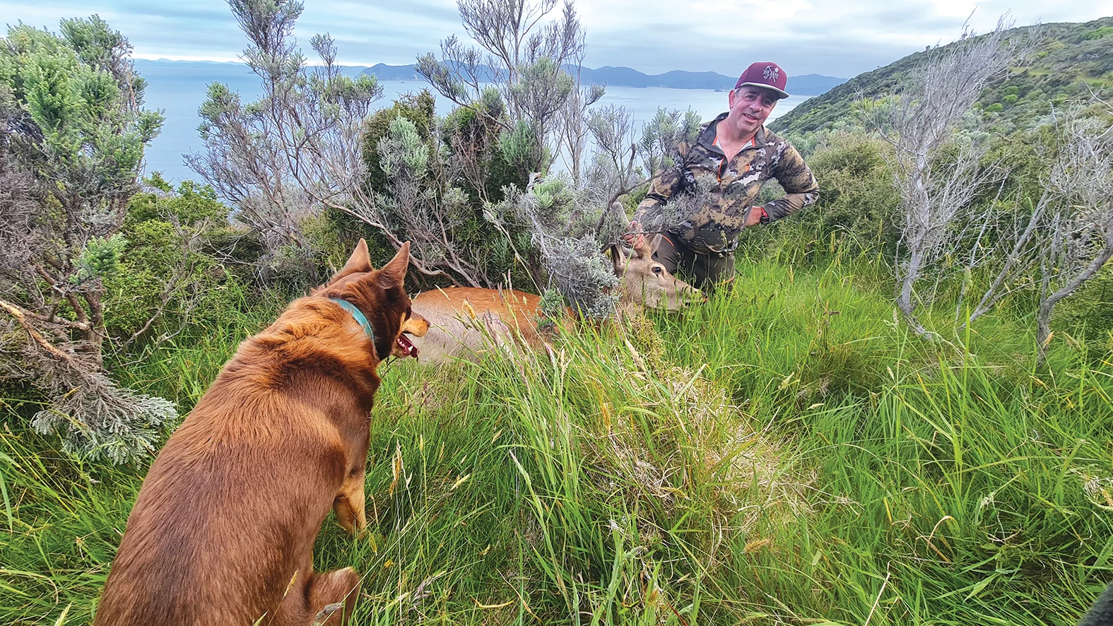 Tasman Environmental Trust new chair