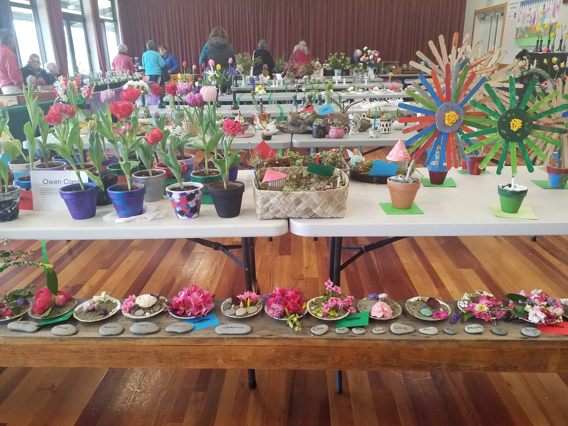 Murchison Garden Club blooming