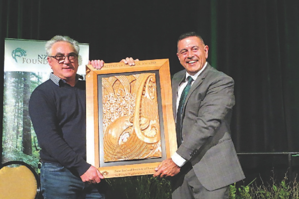 Forestry excellence at awards dinner in Nelson