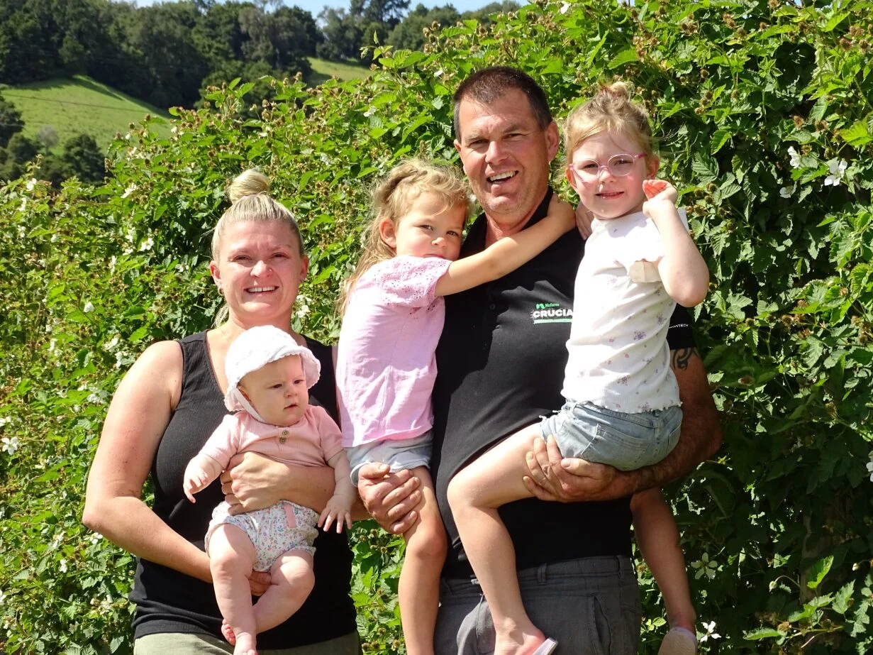 PYO berries continues as a Kiwi tradition
