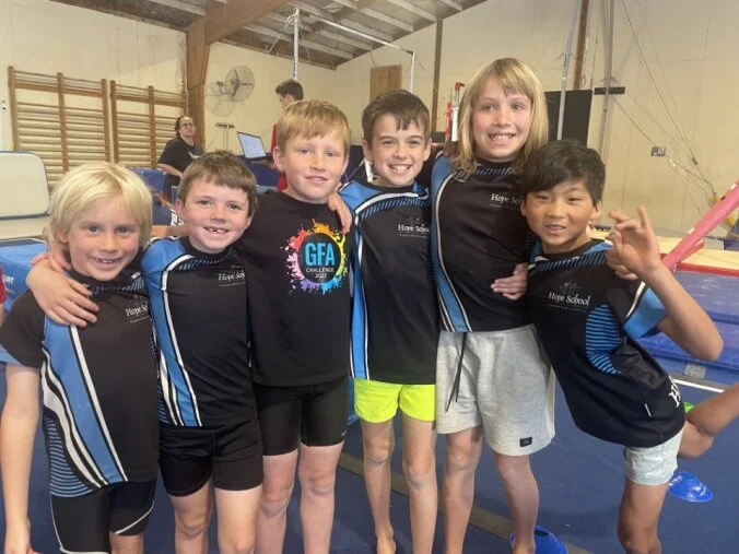 Festival of gymnastics
