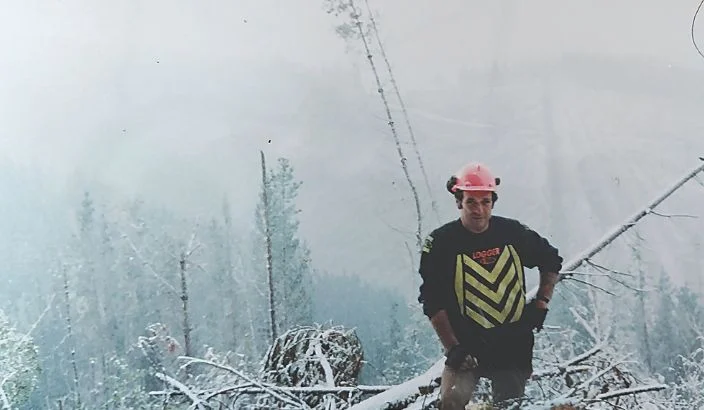 A lifetime in forestry across two continents