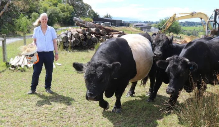 Tasman welcomes its first
‘Open Farm’ experience in Mahana