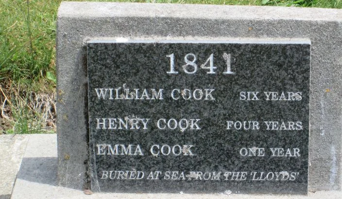 A broken family arrives in Nelson