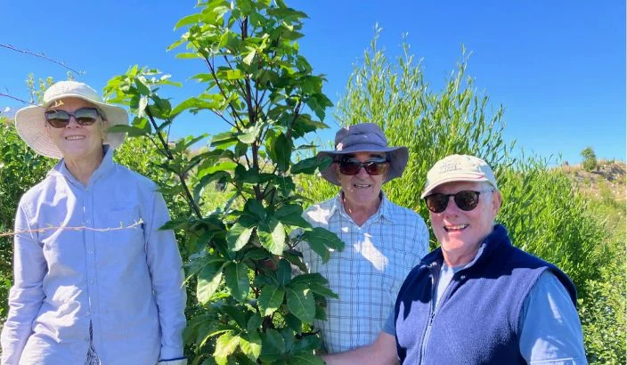 Te Mamaku Native Corridor project kicks off 2025