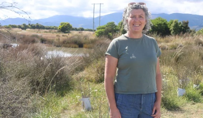 Funding slows Waimea Inlet restoration