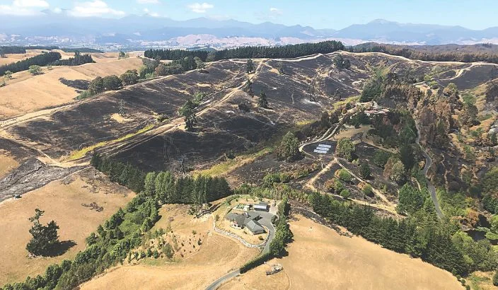 Practical advice on wildfire safety for homeowners