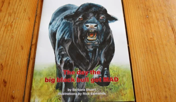 The day the big black bull got MAD