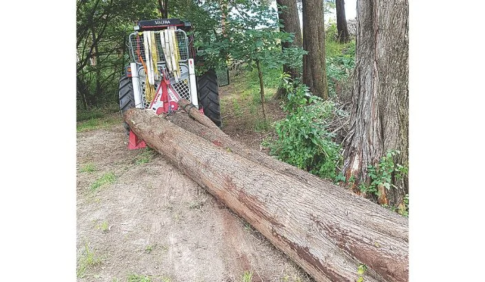 Small scale wood milling in Orinoco