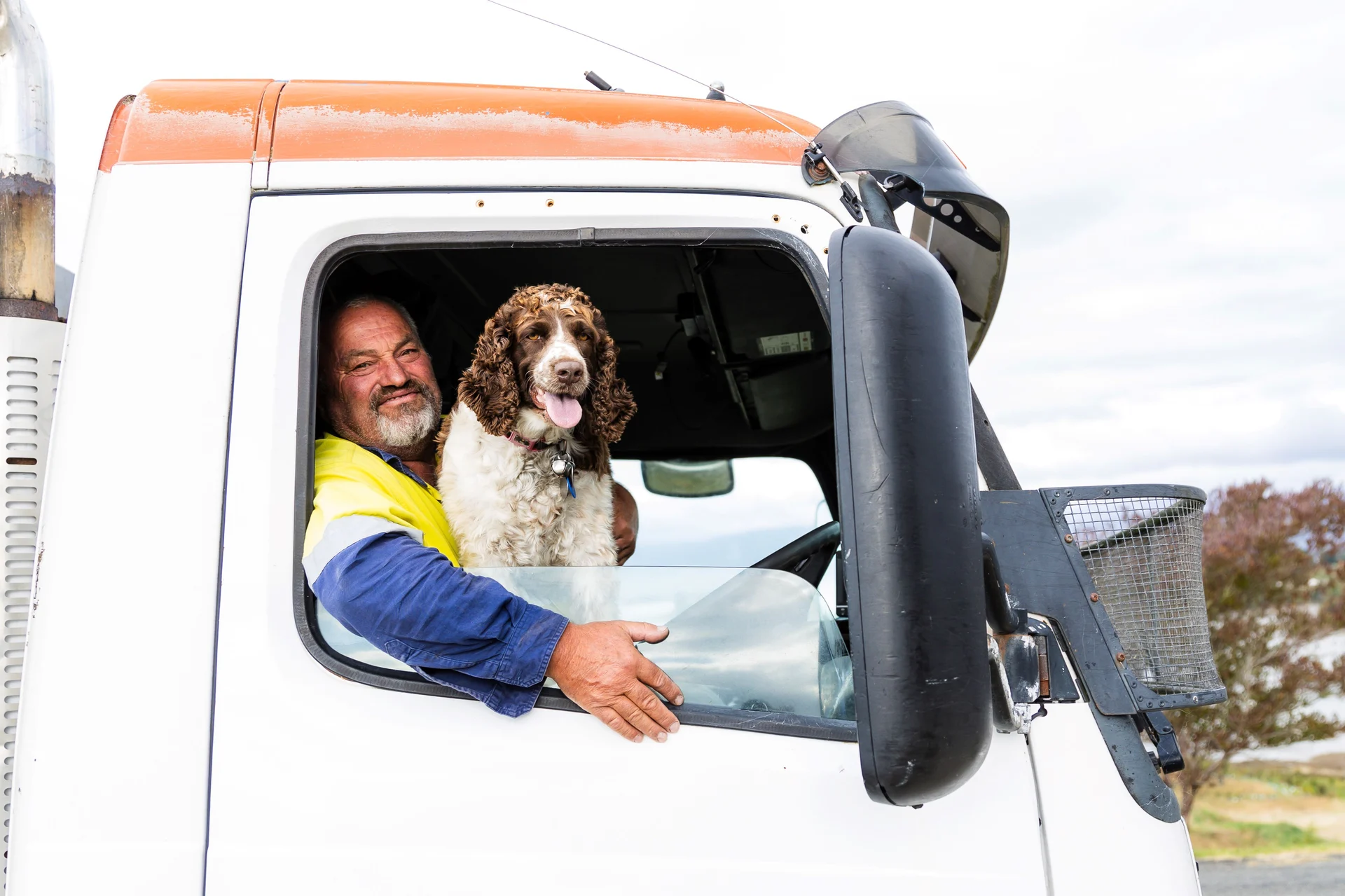 Working dogs of Nelson