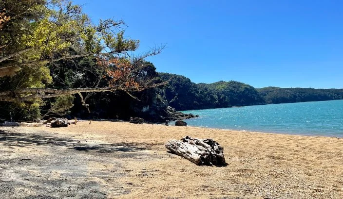 Abel Tasman National Park: My experience