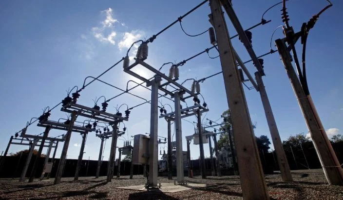 Nelson Electricity buyout welcomed
