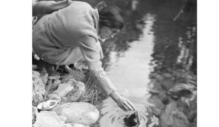 Maggie and her eels – a story verified