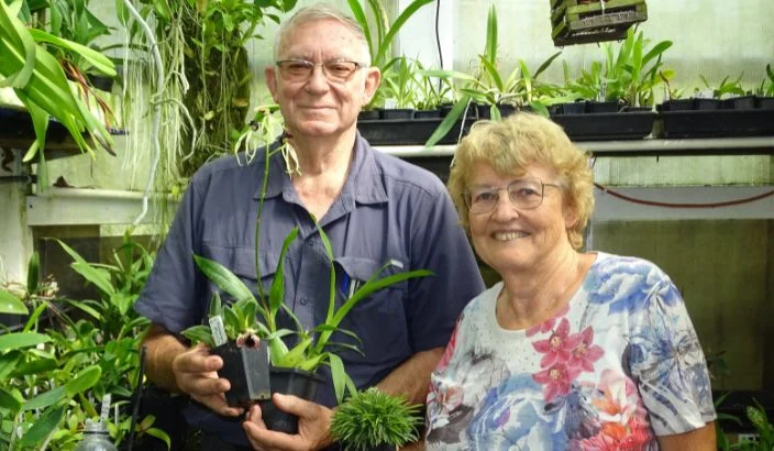Judgement day looms for the best bloom
