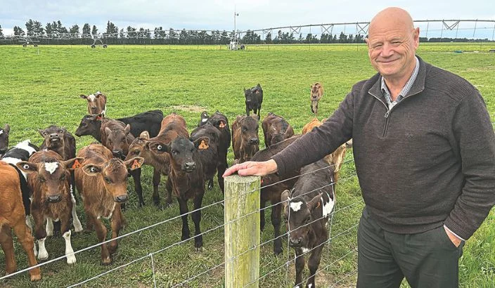 The hidden key to productive pastures: nourishing the soil that feeds the herd