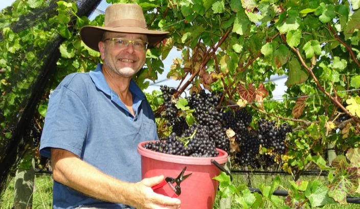Perfect season for a great vintage