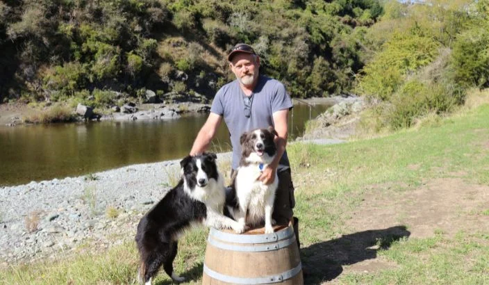 Celebrating border collies