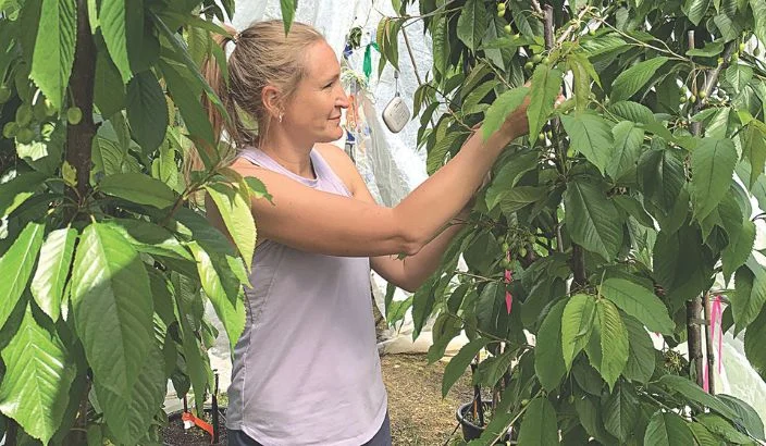 Nutrient uptake in a changing climate