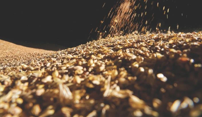 Foundation for Arable Research seek harvest samples