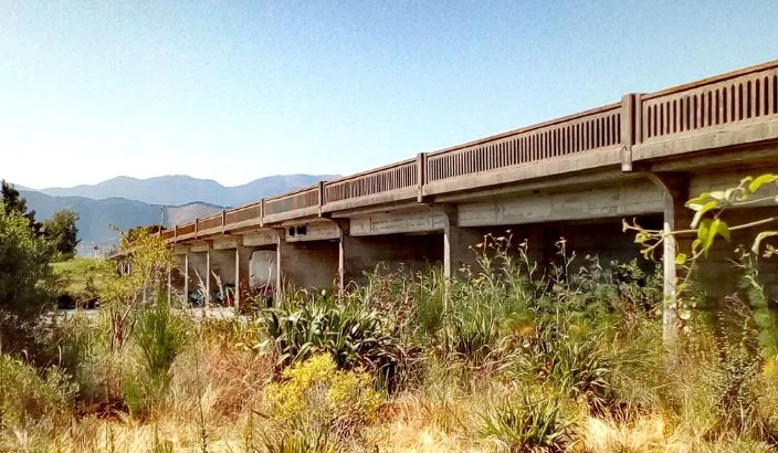 A bridge over the Waimea River