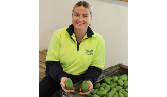 Why some are paying $9.99 a Kilo for feijoas