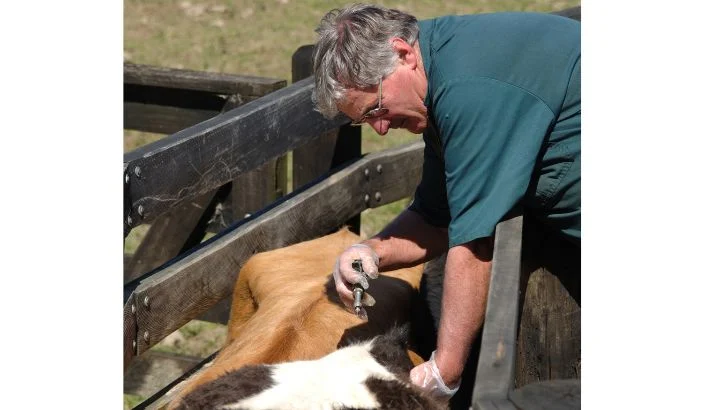 Long battle brings Molesworth milestone