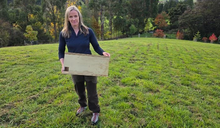Traps available for suburban sections