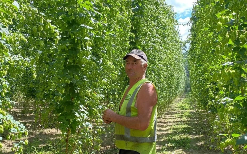 Man killed by falling tree remembered as a 'big character' in rural community