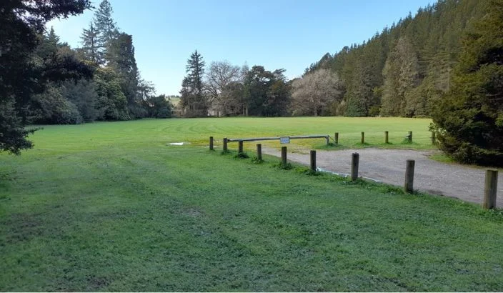 Freedom camping and alcohol bans up for discussion