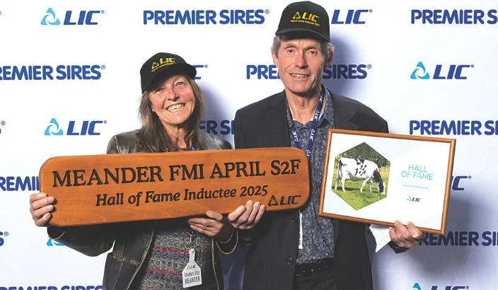 Legendary cow April earns spot in LIC’s Hall of Fame