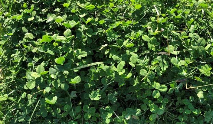 Biology trumps technology, always