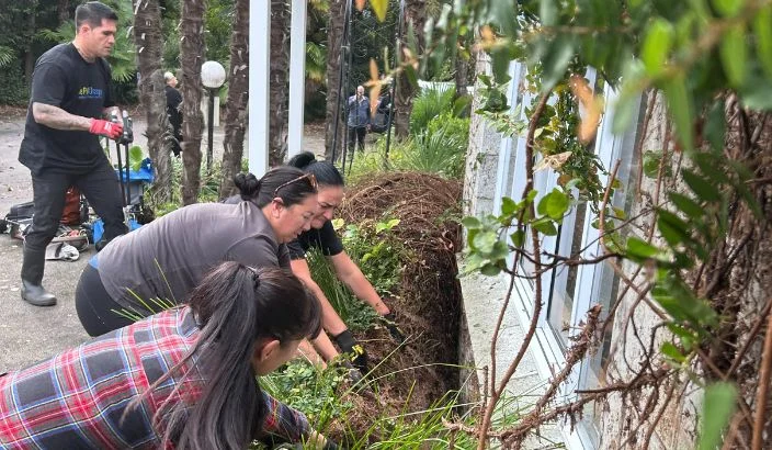 Bringing new life to Stoke’s Otumarama site