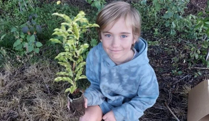 Planting at Snowden’s Bush
