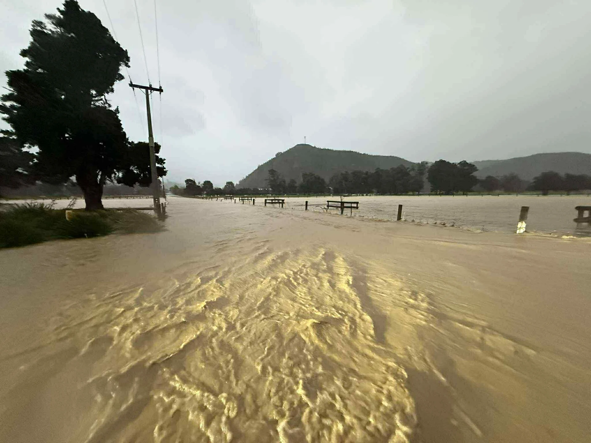 Worst-case scenario, widespread power outages