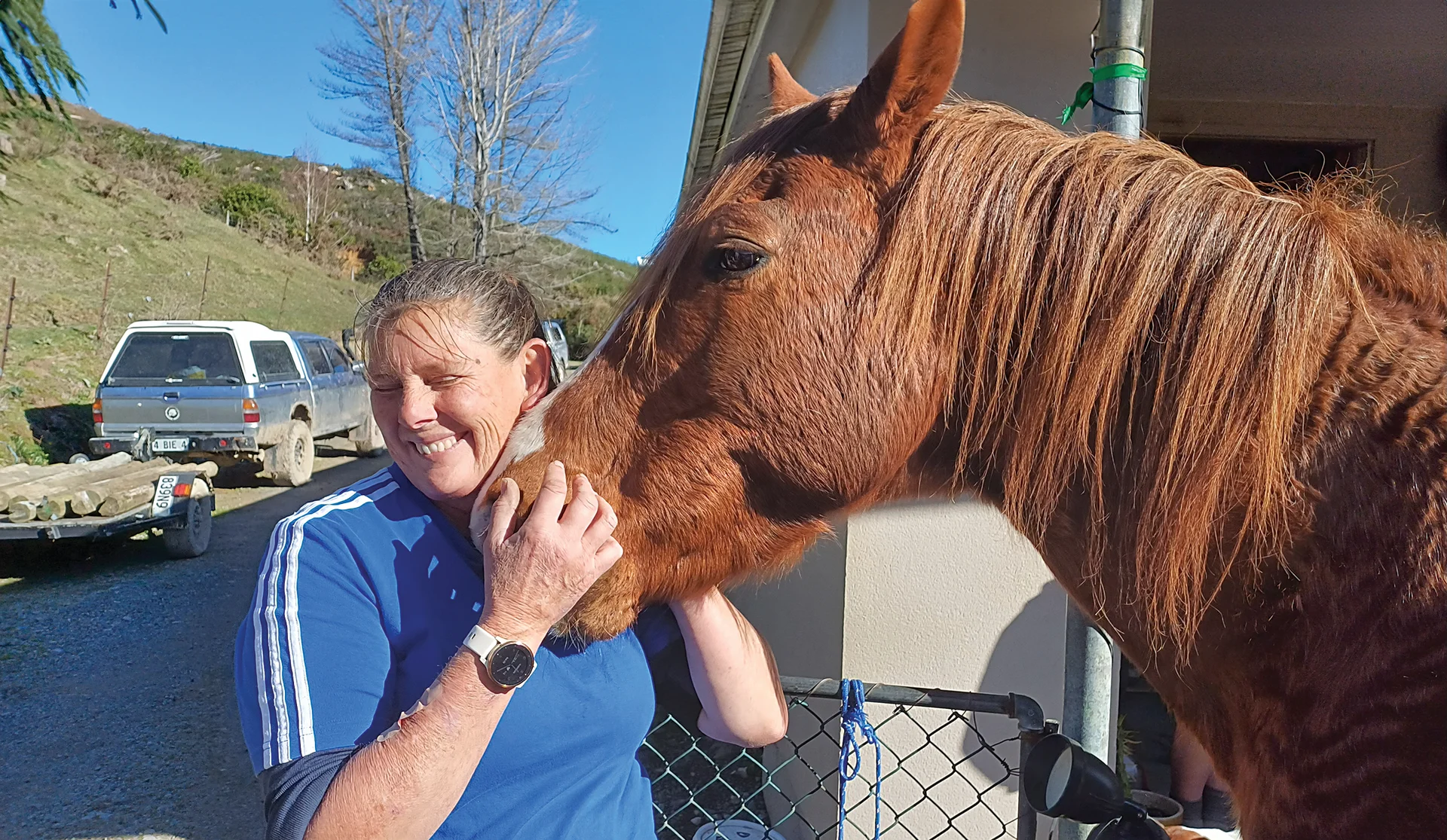 Four-legged valley icon weathers the storm