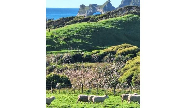 Golden Bay Federated Farmers July update