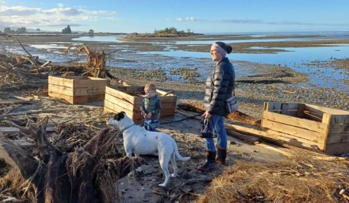 Apple bins bobbing in the bay