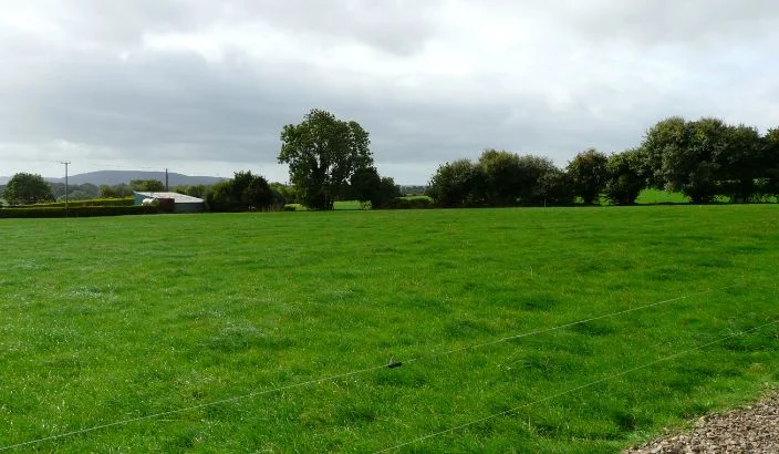 How Mycorrhizal Fungi helps 
rebuild pasture after flooding