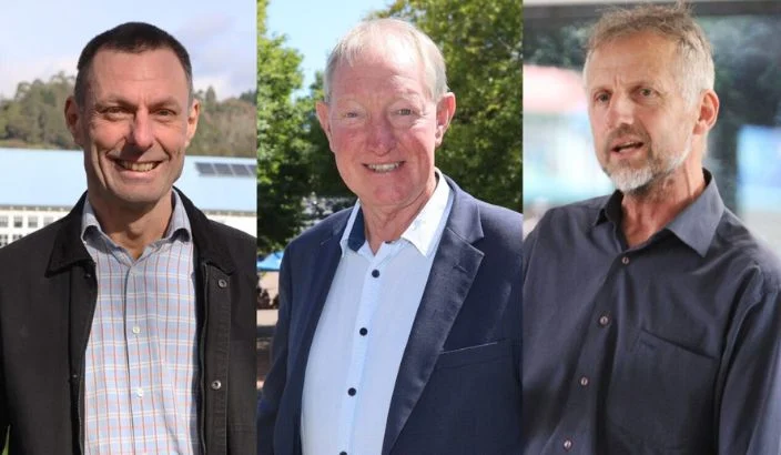 Who’s running in Nelson’s election?