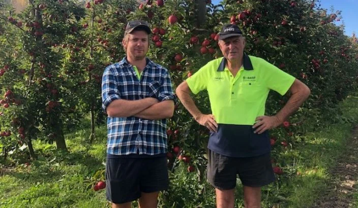 Tapawera’s Pink-fleshed potential