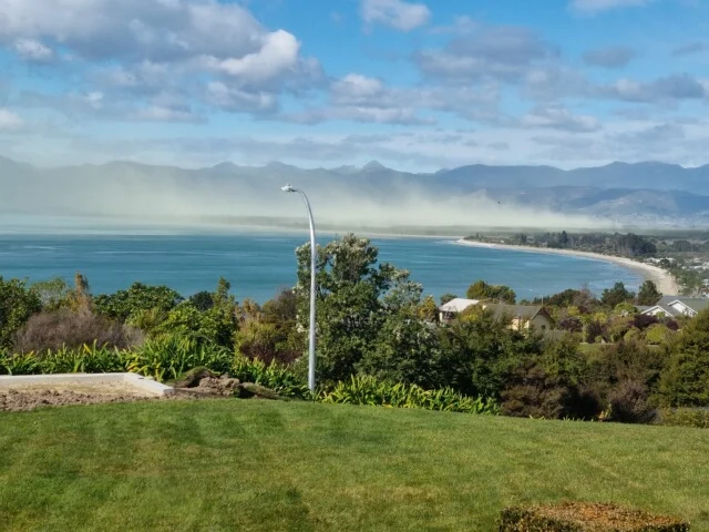 Pollen season hits Nelson