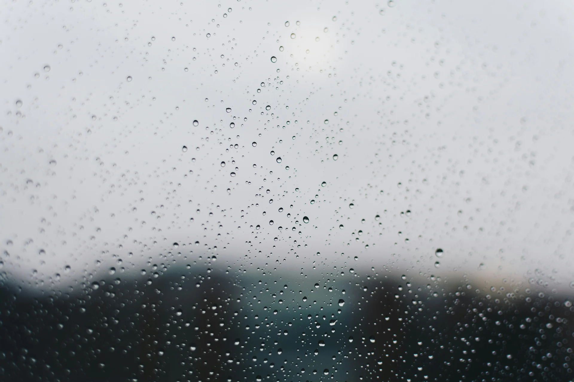 One of the wettest winters on record