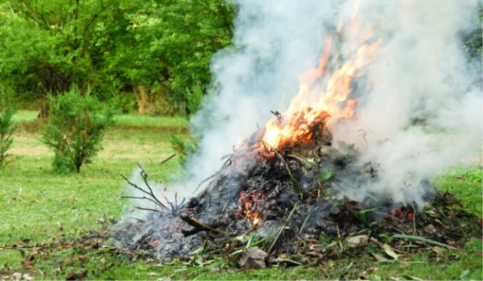 Tips for burning flood debris