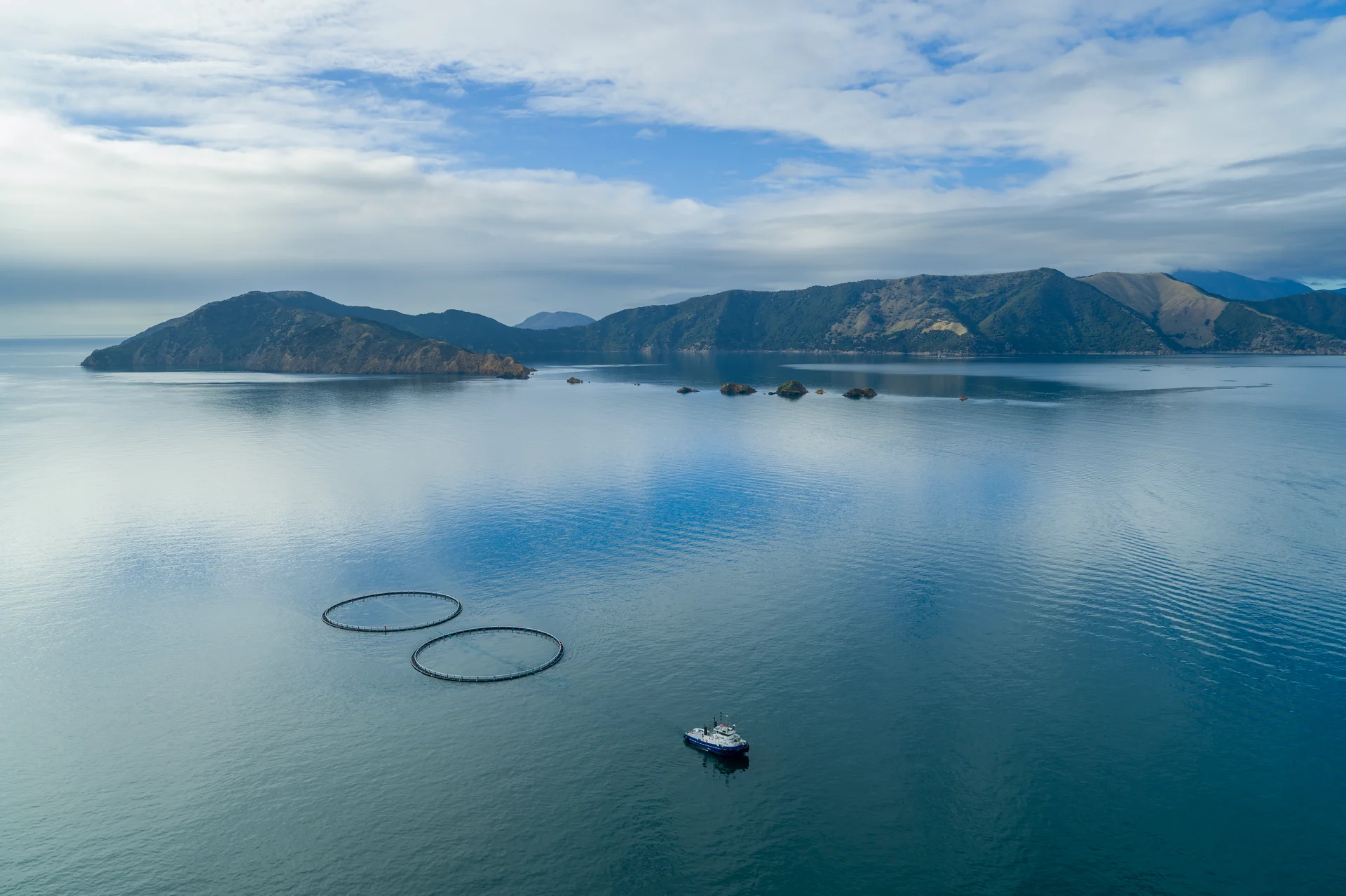 King Salmon announce shift to Marlborough