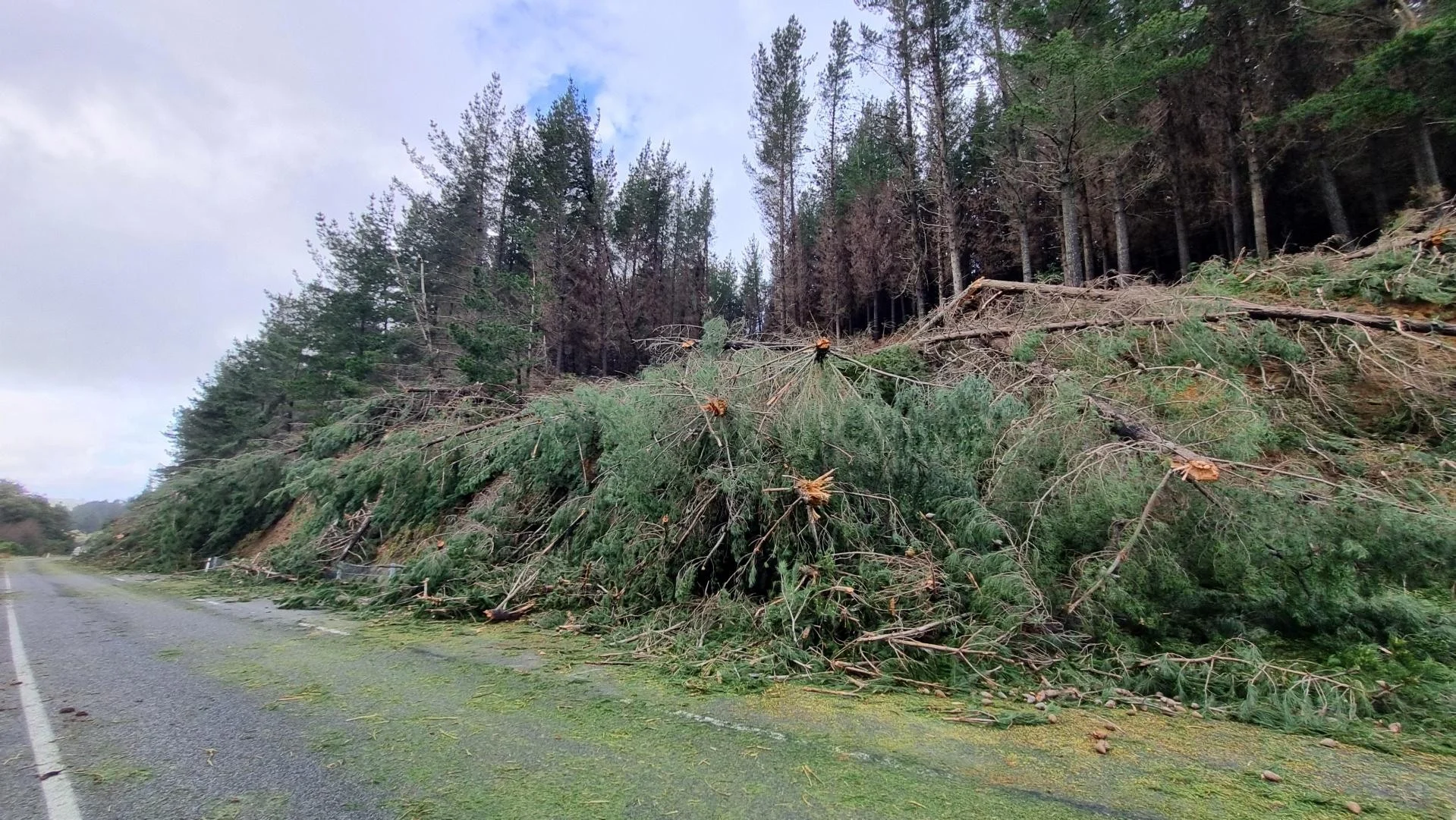 Spooners road closures